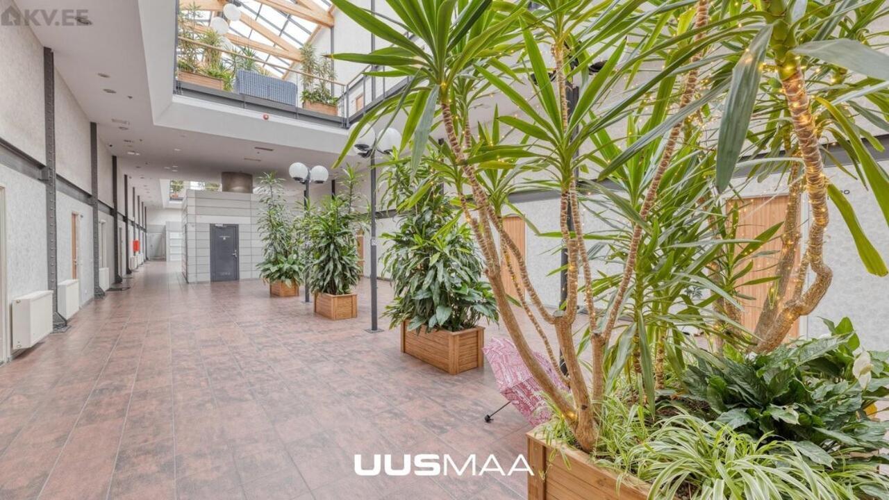 Loft Near Old Town * Reval